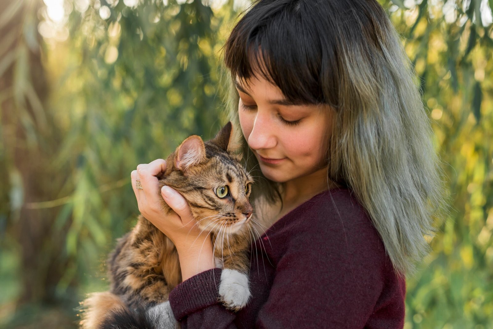Free Kittens Near Me: Find Your New Furry Friend Today!